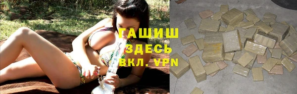 индика Дмитров