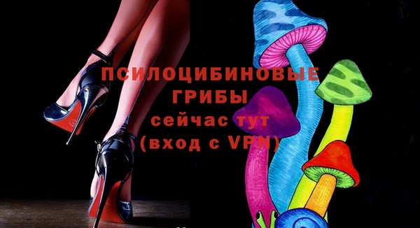 индика Дмитров