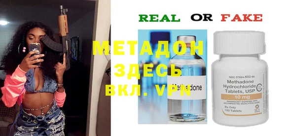индика Дмитров