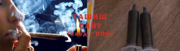 индика Дмитров