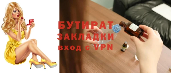 индика Дмитров