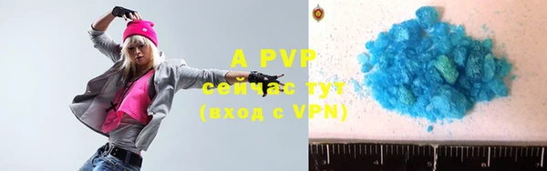 индика Дмитров