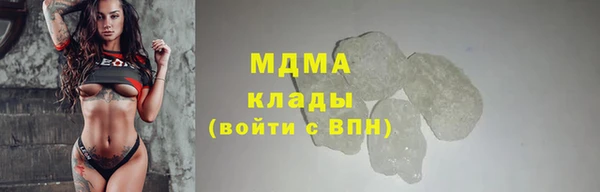 индика Дмитров