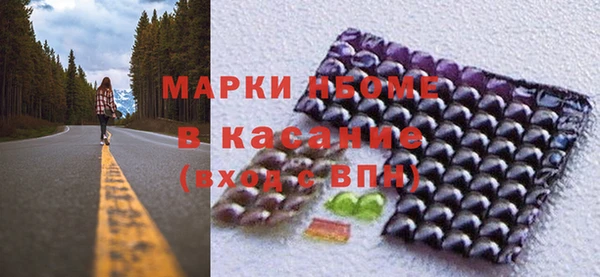 индика Дмитров