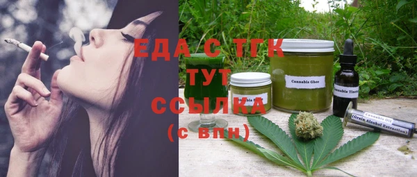 индика Дмитров