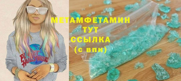 индика Дмитров