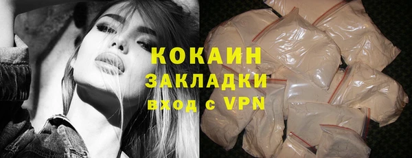 индика Дмитров