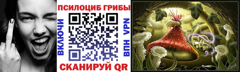 Галлюциногенные грибы Psilocybine cubensis  как найти   Омутнинск 